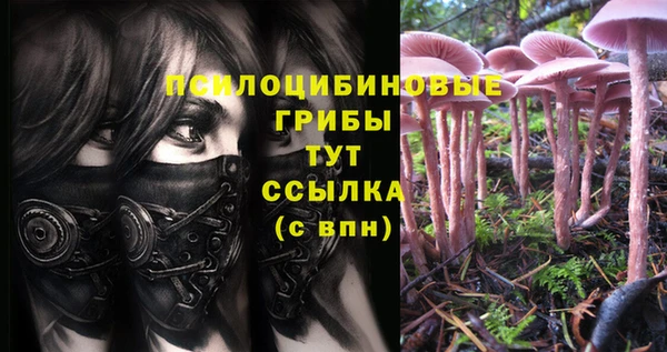 MESCALINE Бабаево