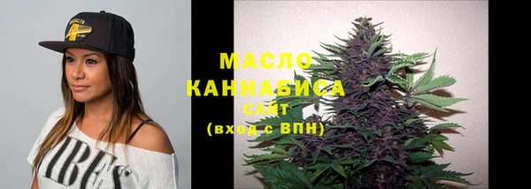 индика Аша