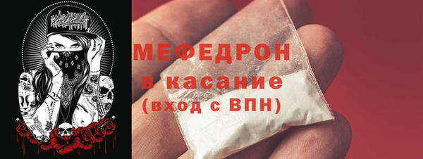 индика Аша