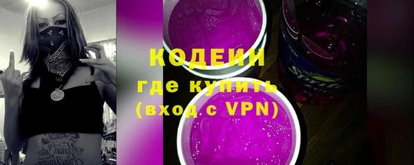 индика Аша