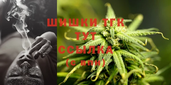 индика Аша