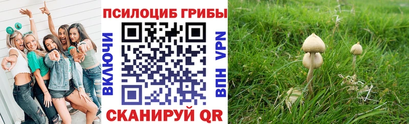 Псилоцибиновые грибы Magic Shrooms Вязьма