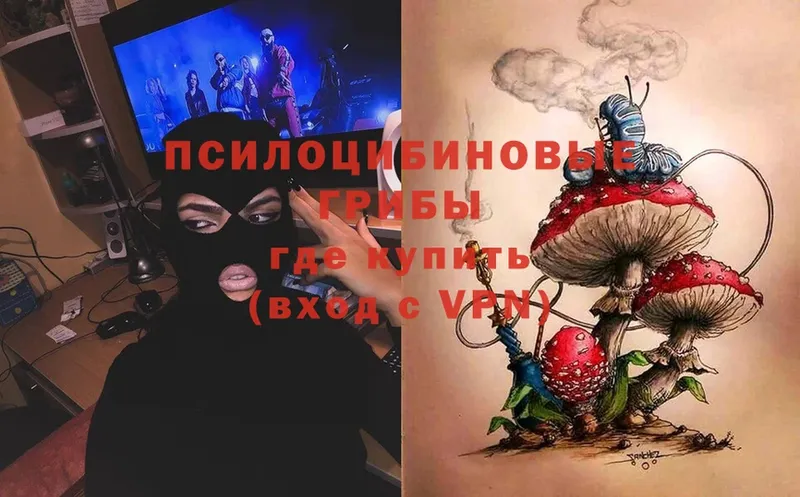 Галлюциногенные грибы Cubensis  Вязьма 