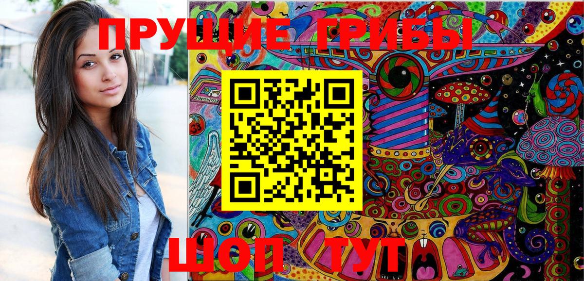 Псилоцибиновые грибы прущие грибы  Вязьма  Псилоцибиновые грибы Psilocybe 