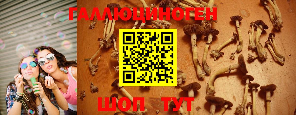 Вязьма  Кокаин  Вейп ТГК  Гашиш  Мефедрон кристаллы  Как найти наркотики?  МЕТАМФЕТАМИН 